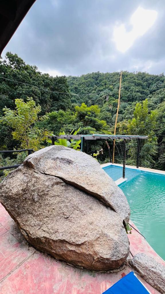 Minca Cabana La Roca Santa Marta  Eksteriør bilde
