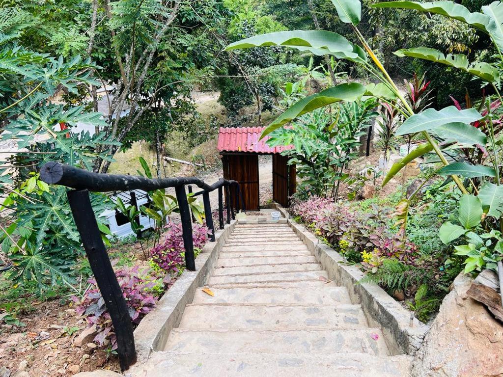 Minca Cabana La Roca Santa Marta  Eksteriør bilde