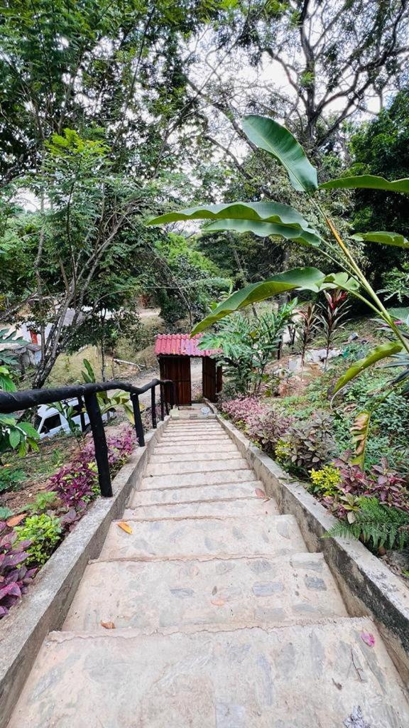 Minca Cabana La Roca Santa Marta  Eksteriør bilde