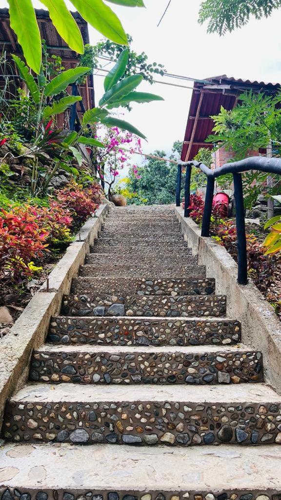 Minca Cabana La Roca Santa Marta  Eksteriør bilde